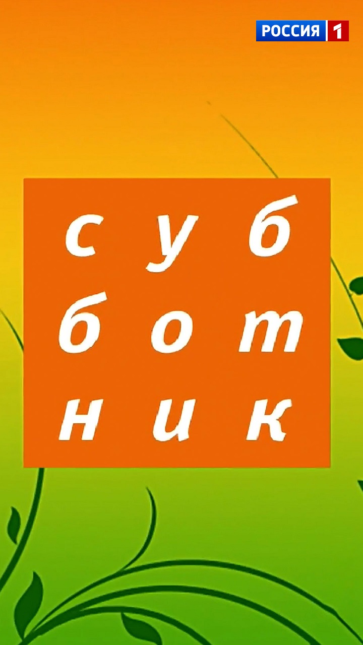 Ток-шоу «Субботник» - 2010 - Сергей Рост [Россия1, 06.11.2010]